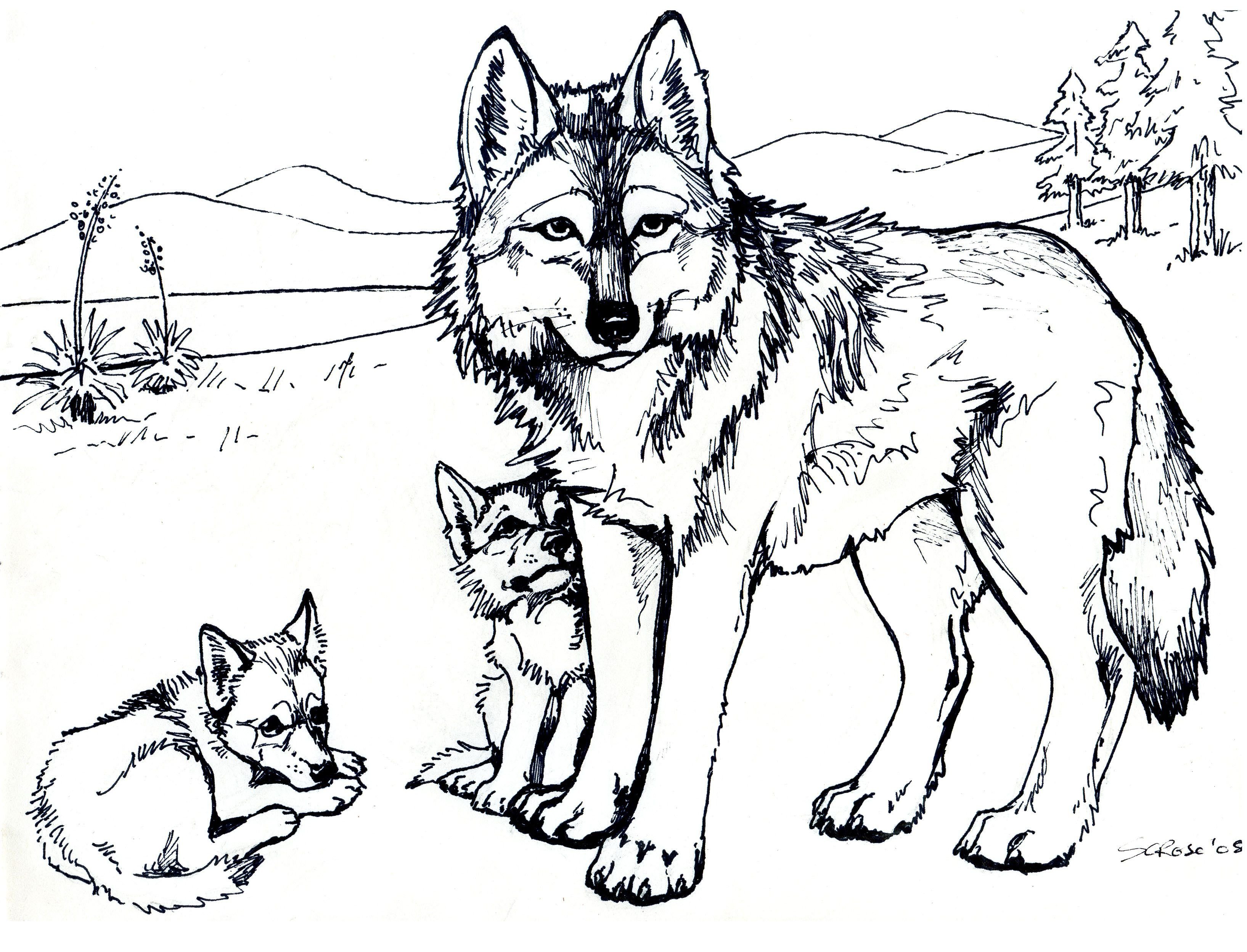 Раскраска волк с волчатами