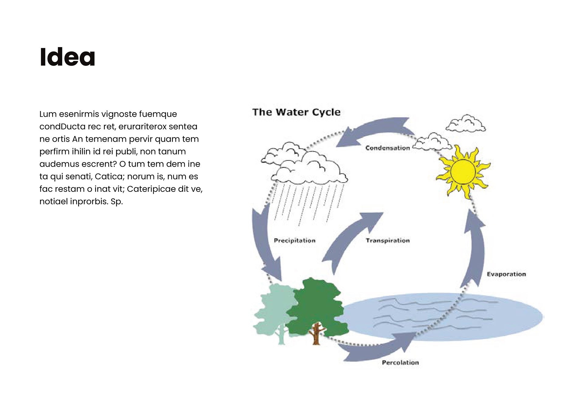 Схема мирового круговорота воды