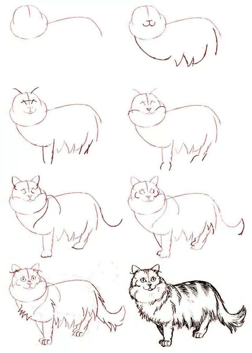 Поэтапный рисунок кошки карандашом