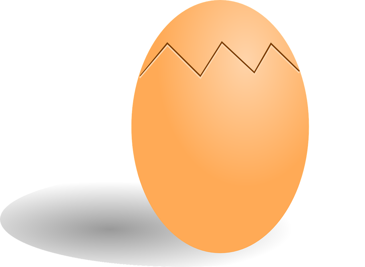 Яйцо вектор. Яйцо. Яйцо мультяшное. Яйцо векторное изображение.