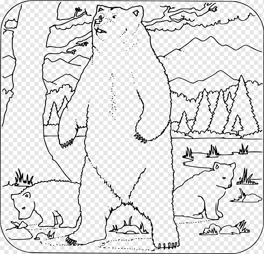Медведь Гризли раскраска