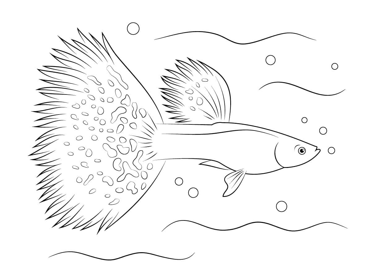 Нарисовать аквариумную рыбку гуппи