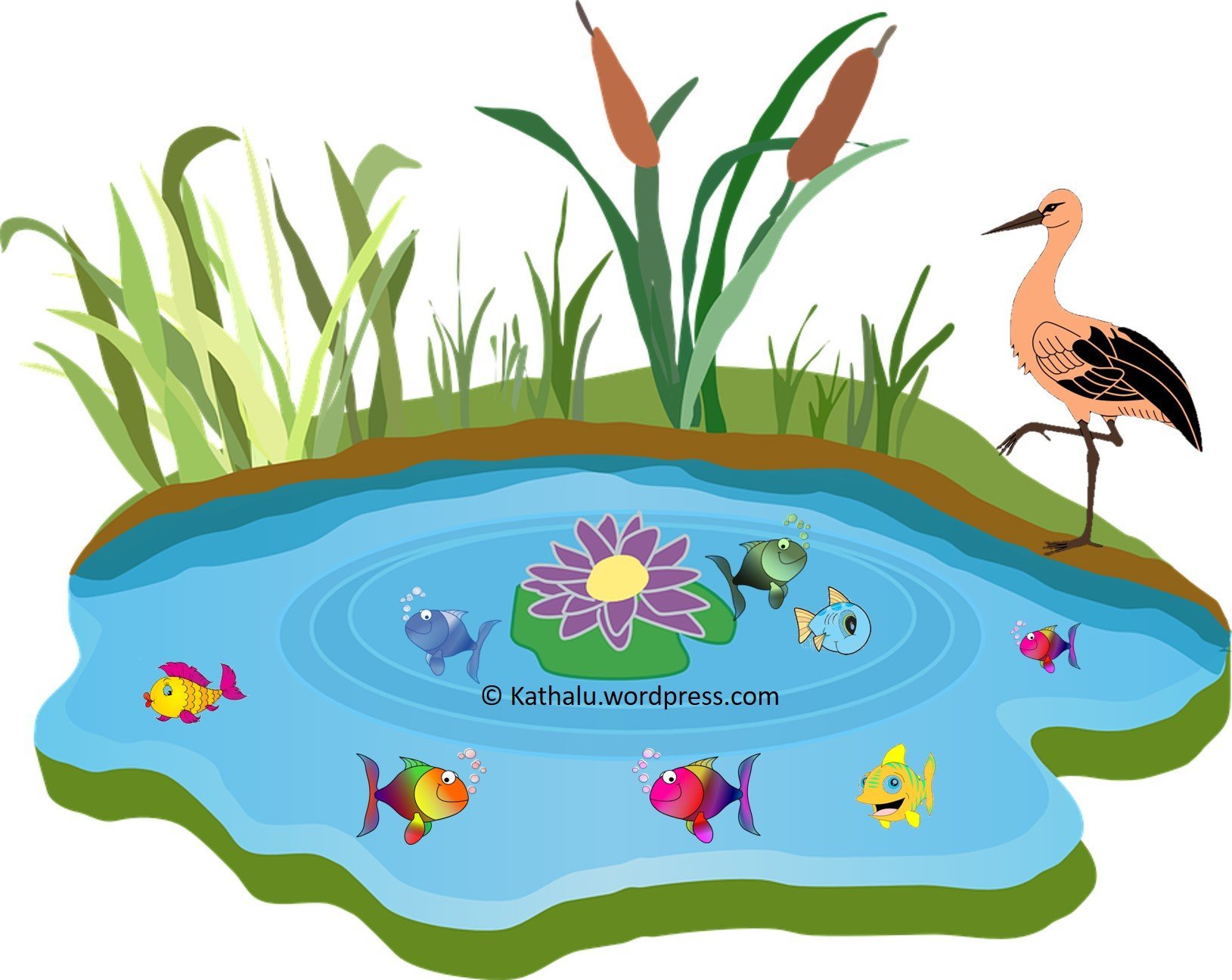 Иллюстрации водоемов для детей