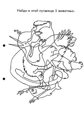 Путаница картинки