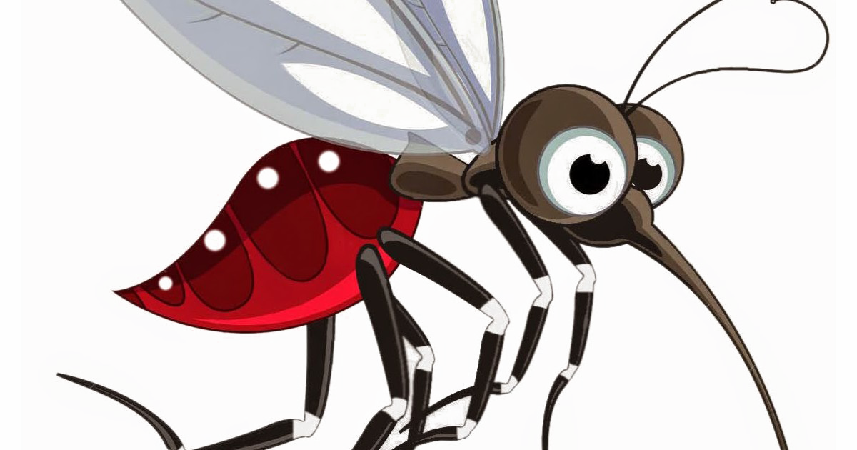 Бабочка муравей паук. Комар мультяшный. Мультяшные насекомые. Комар для дошкольников. Комар для детей на прозрачном фоне.