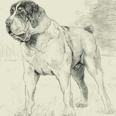 Алабай нарисовать