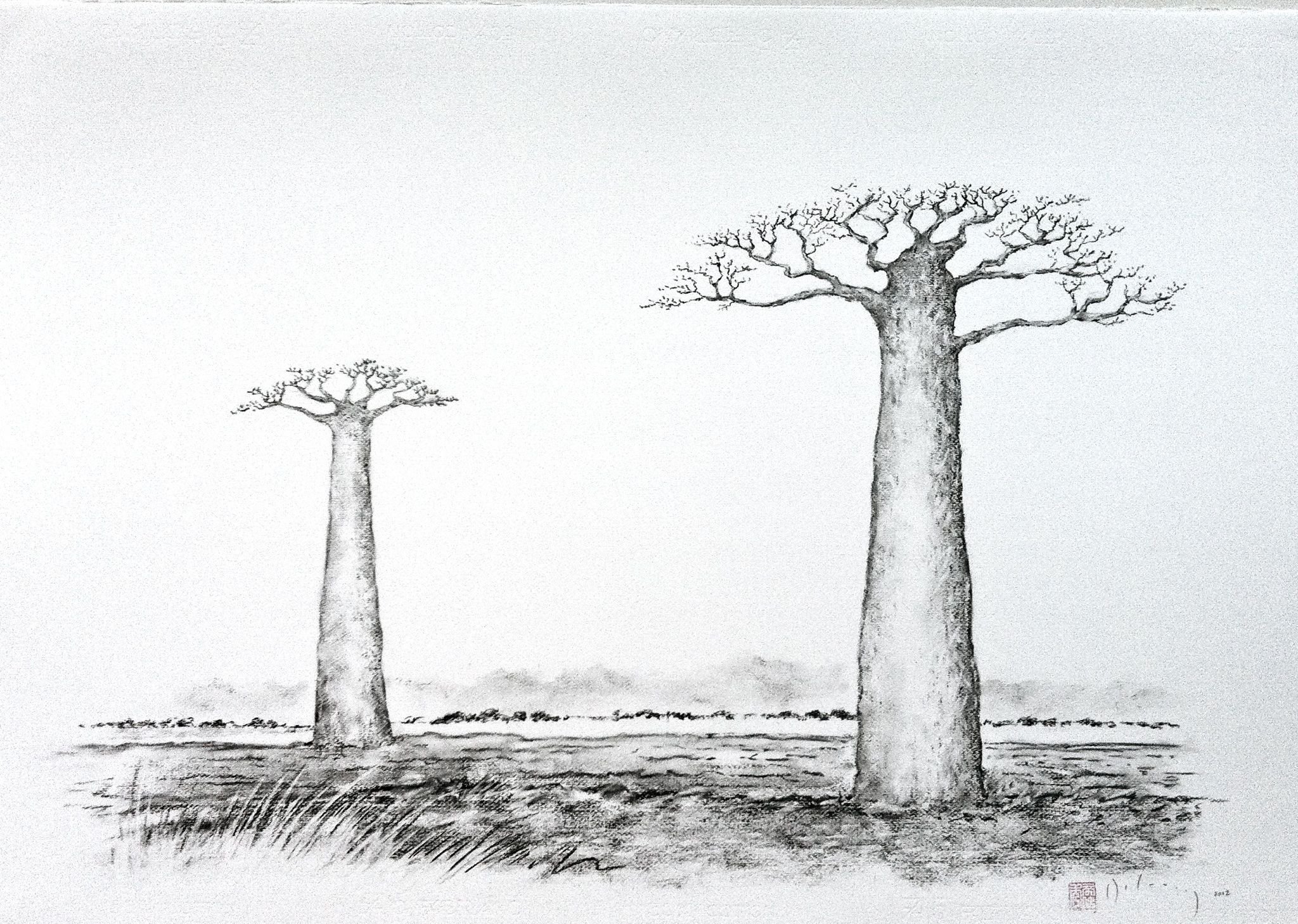 Деревья Африки раскраска