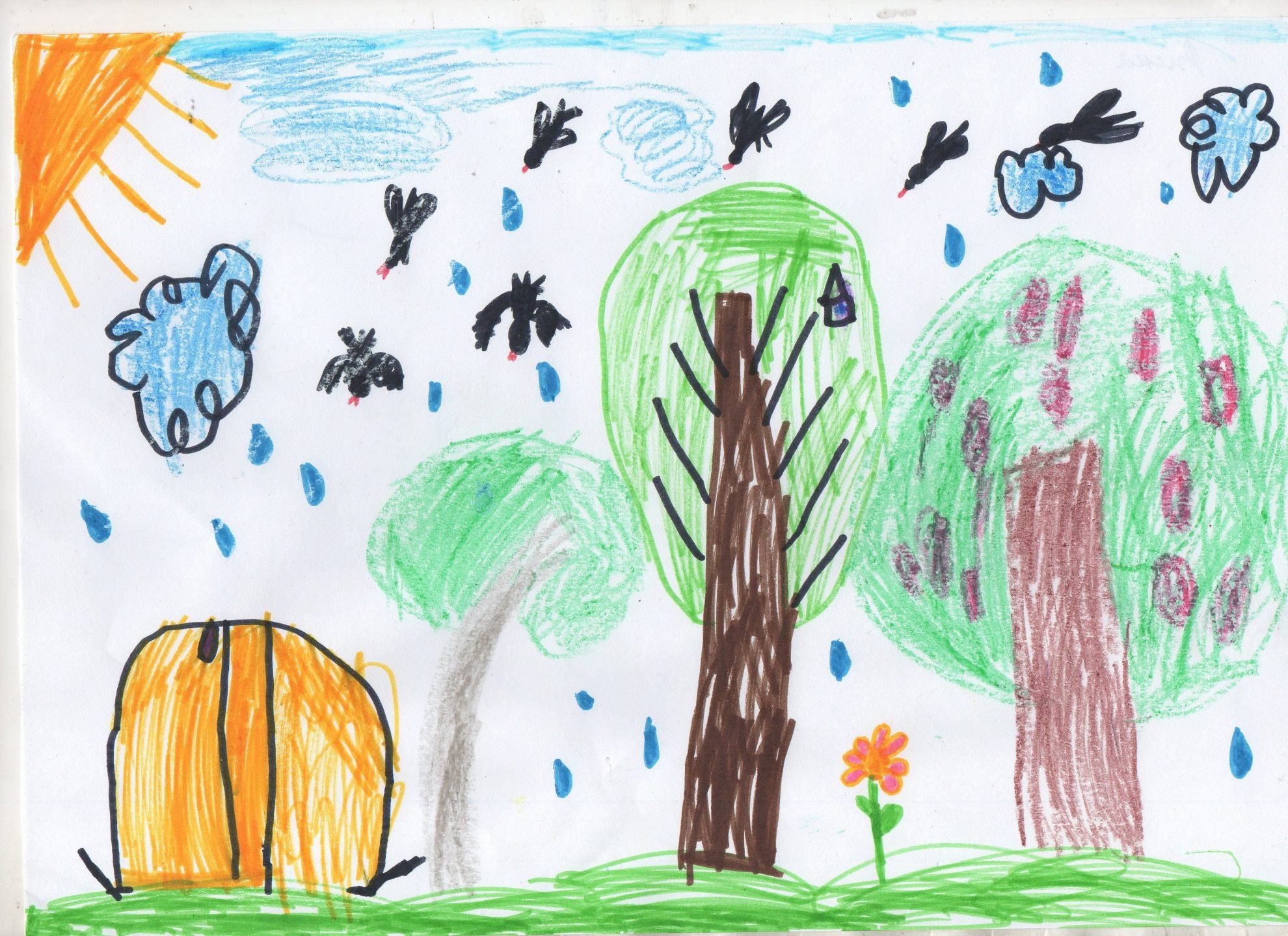 Экологический рисунок для дошкольников