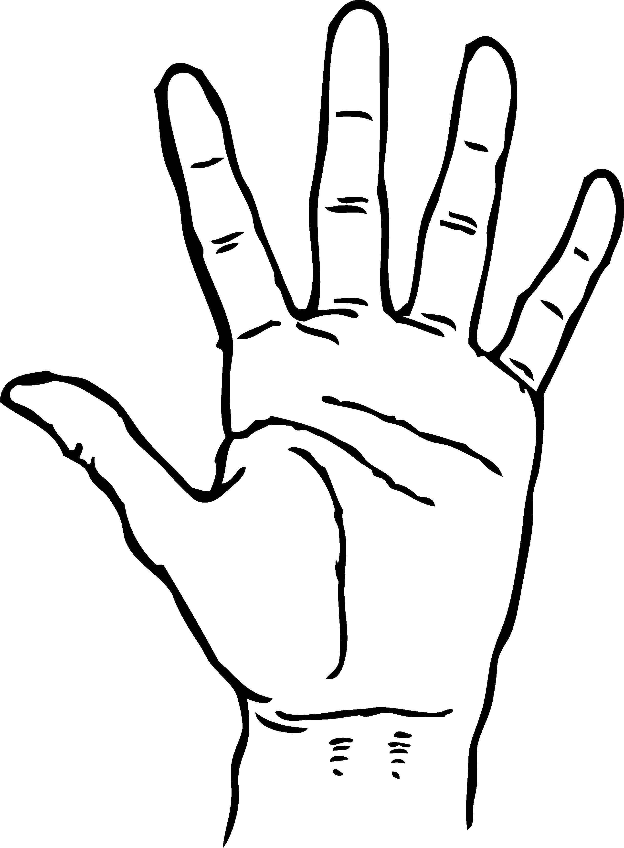 картинки пальцы правой руки
