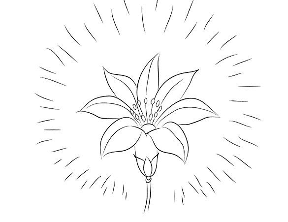Как нарисовать волшебный цветок