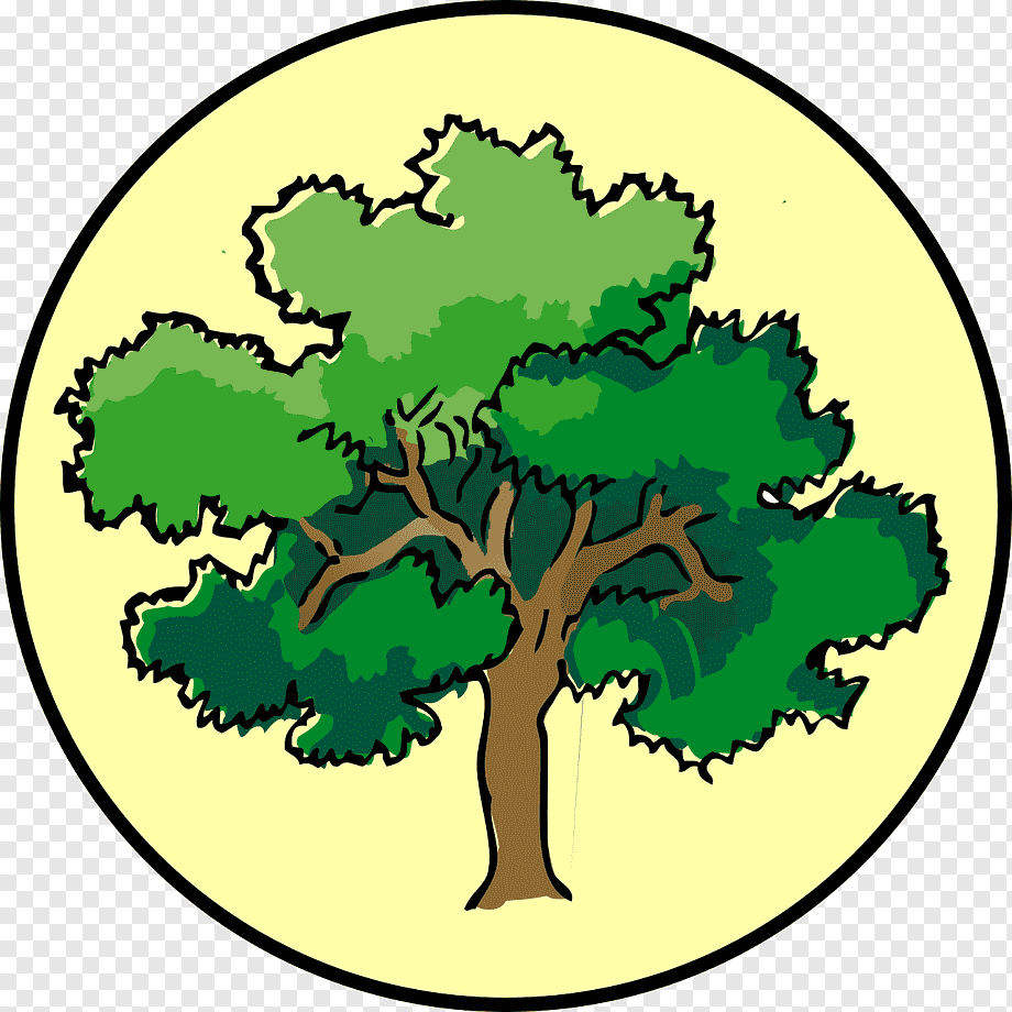 Дерево символ природы