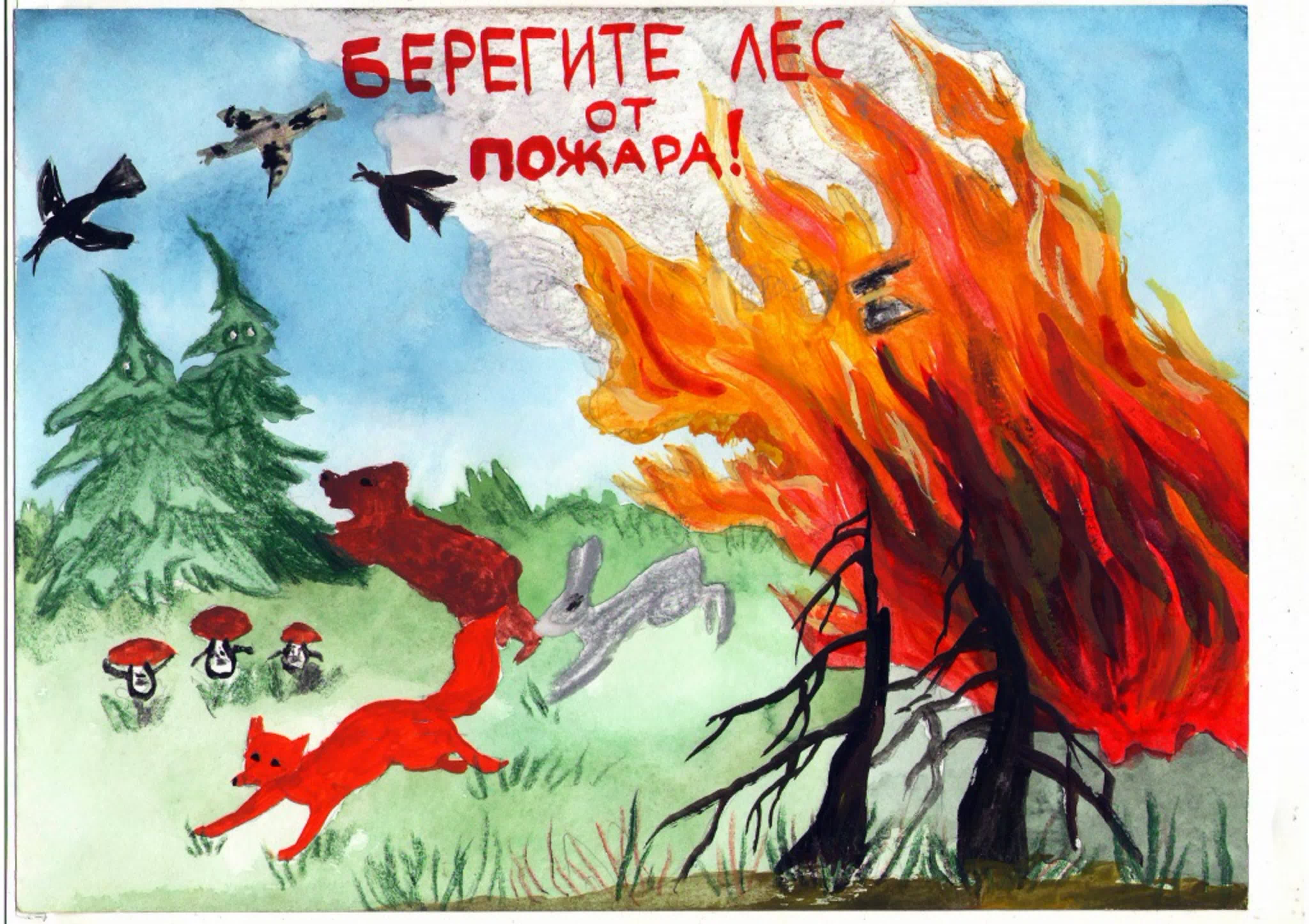 Плакат берегите лес от пожара