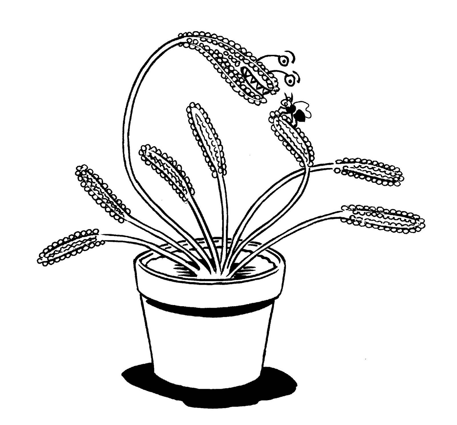 Венерина мухоловка растение раскраска