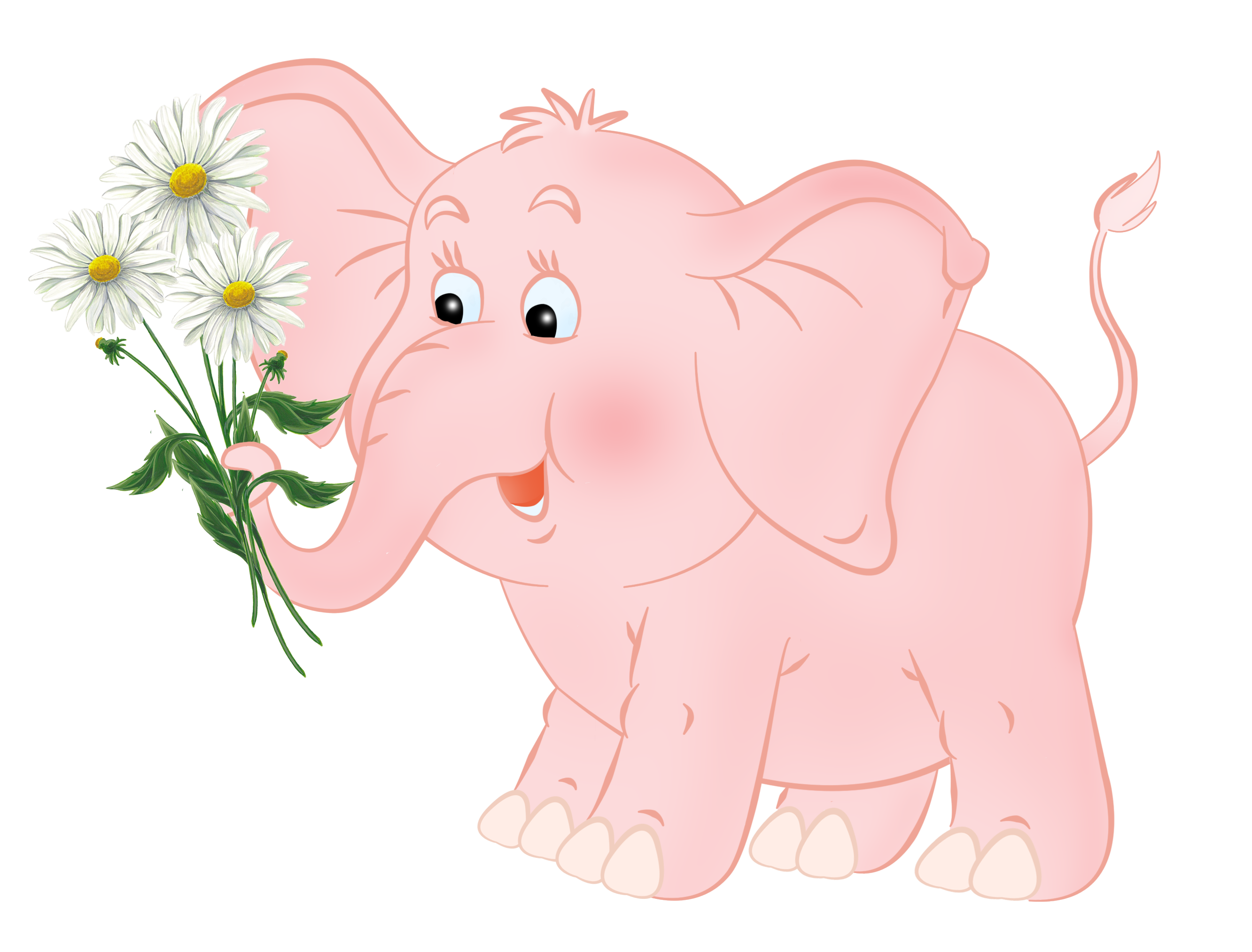 Слоники цвета. Слоненок. Розовый слон. Слоник с цветами. Слоненок с цветочком.