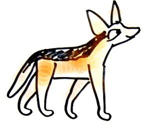 Шакал рисунок для детей