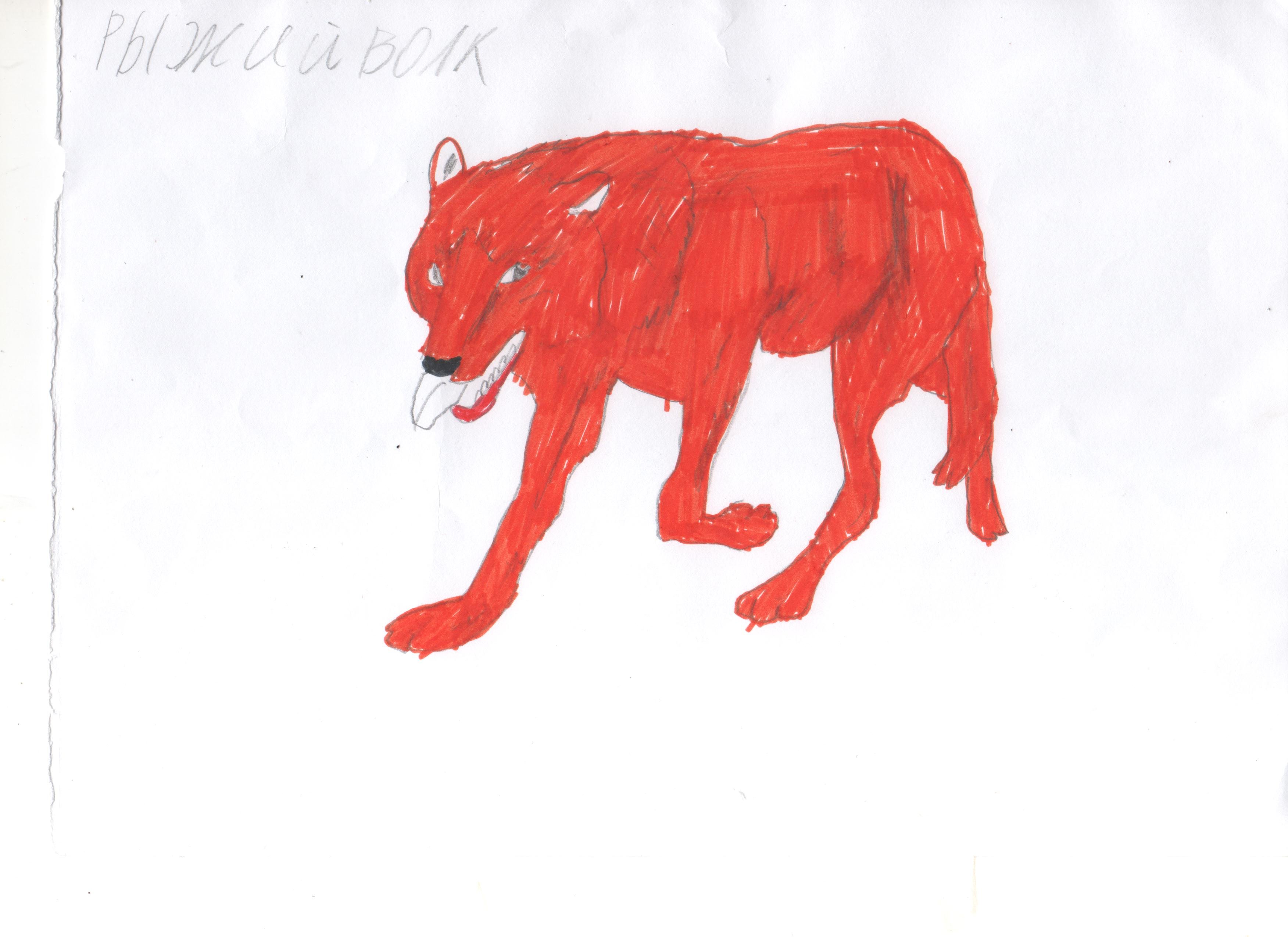Красный волк рисунок для детей