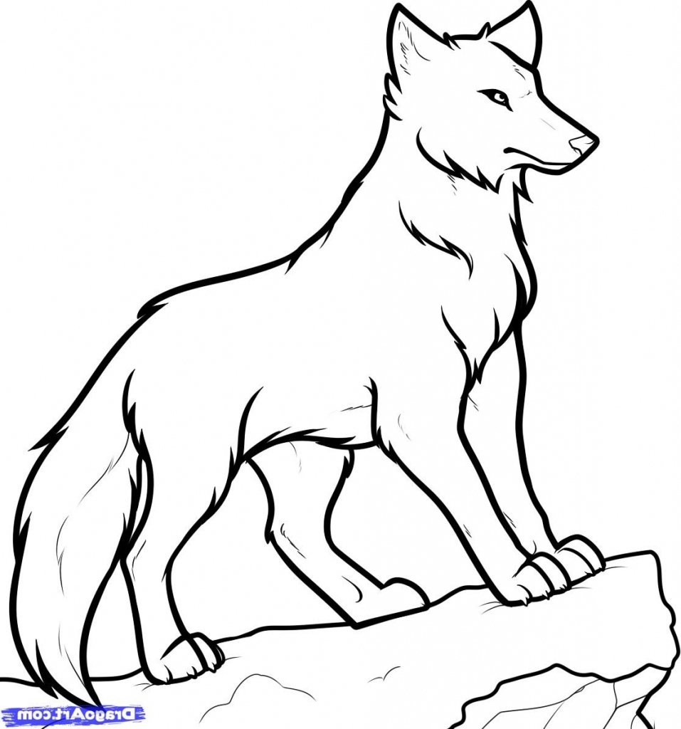 Рисунок волка для срисовки для детей