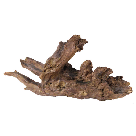 Коряга на прозрачном фоне