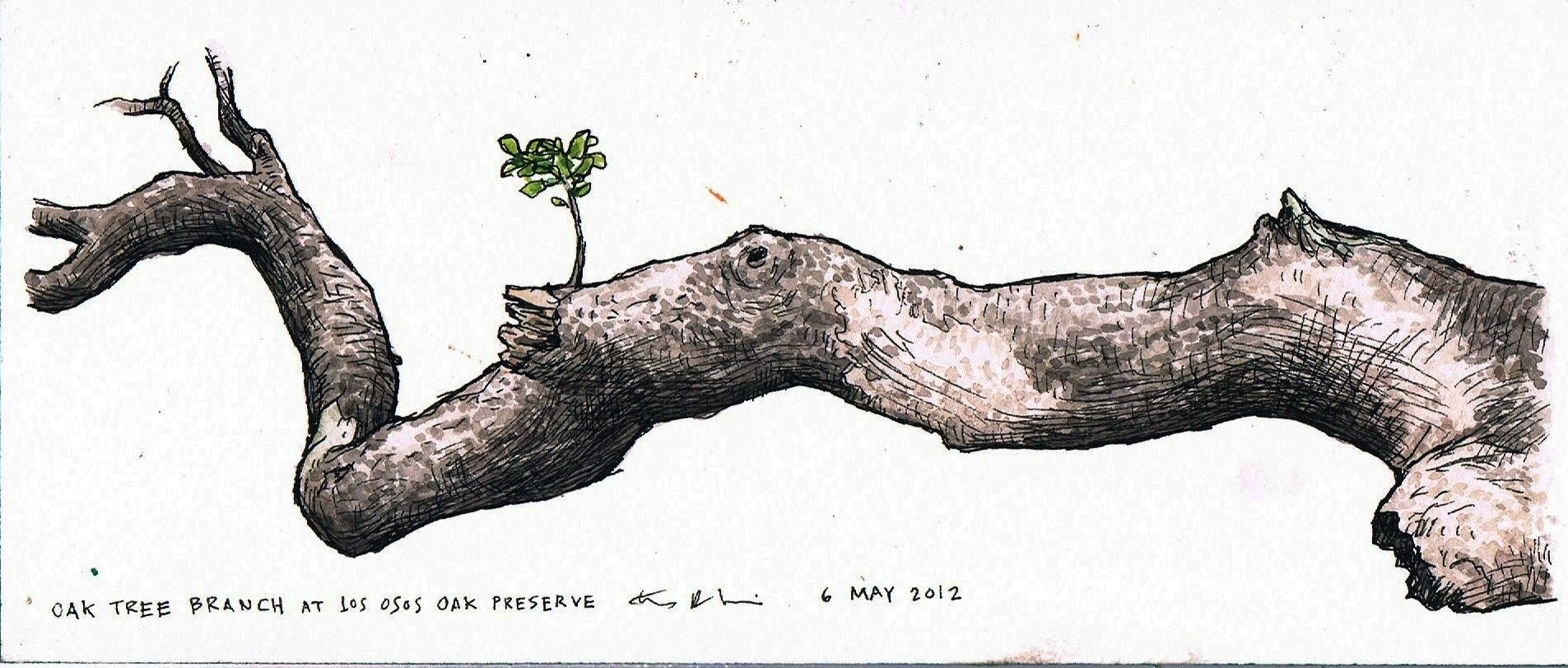 Иллюстрация поваленное дерево