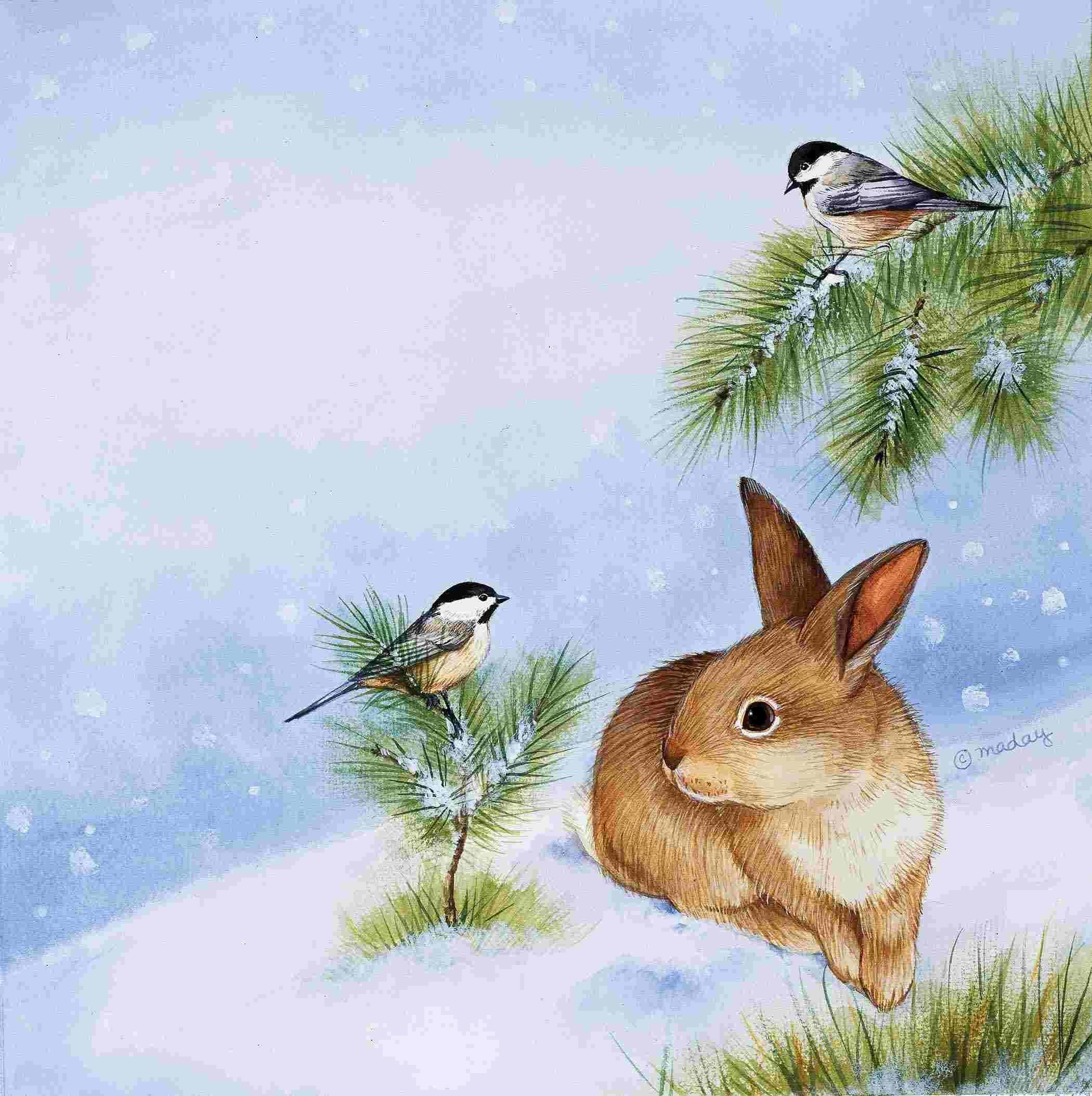 Птица зайчики. Зимние животные. Зимние рисунки. Животные зимой. Заяц зимой иллюстрация.