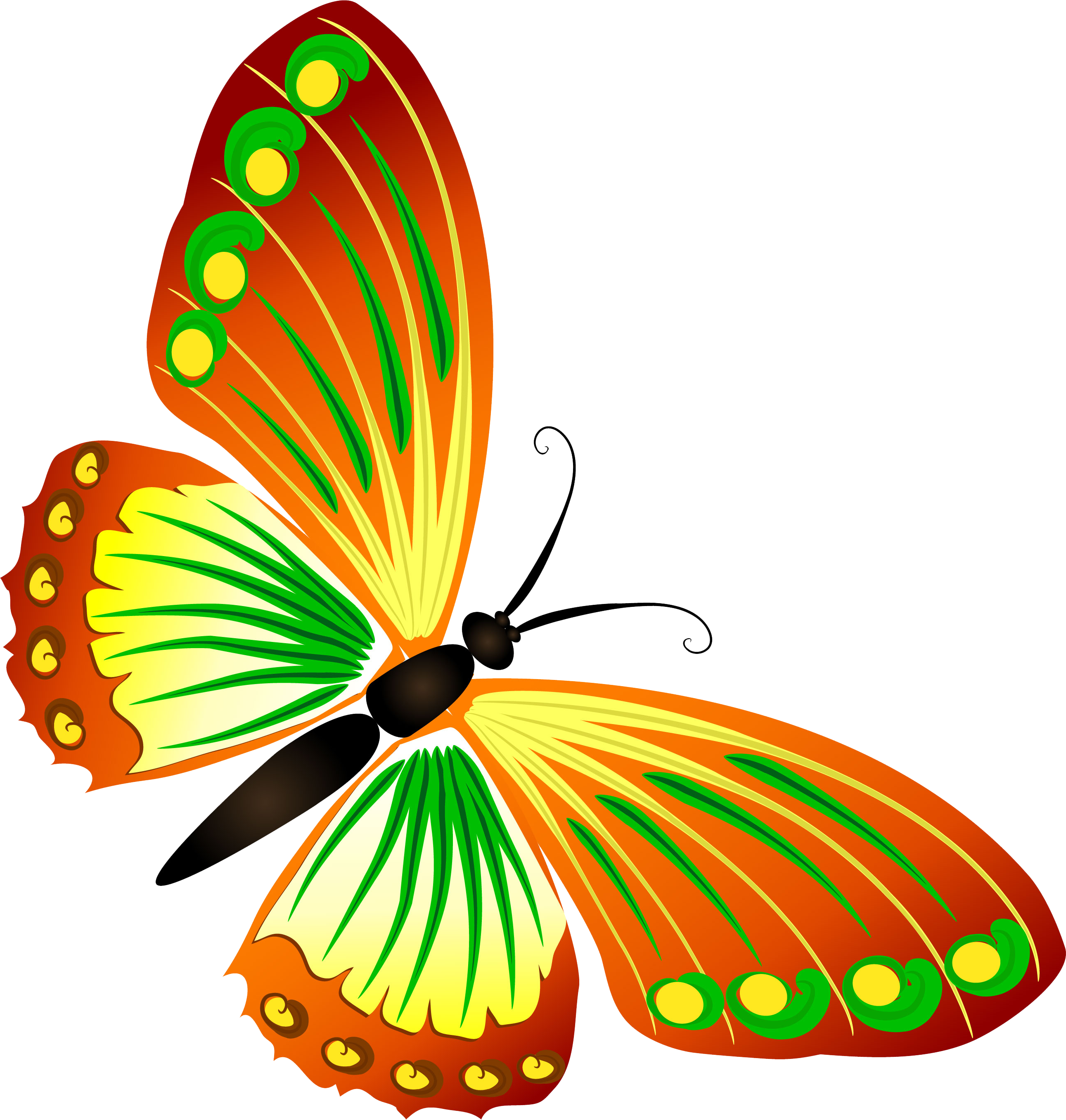 Клипарт прозрачные картинки. Бабочка рисунок. Баба рисунок. Бабочки мультяшные. Красивая бабочка рисунок.