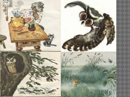 Раскраски к сказке Бианки Сова