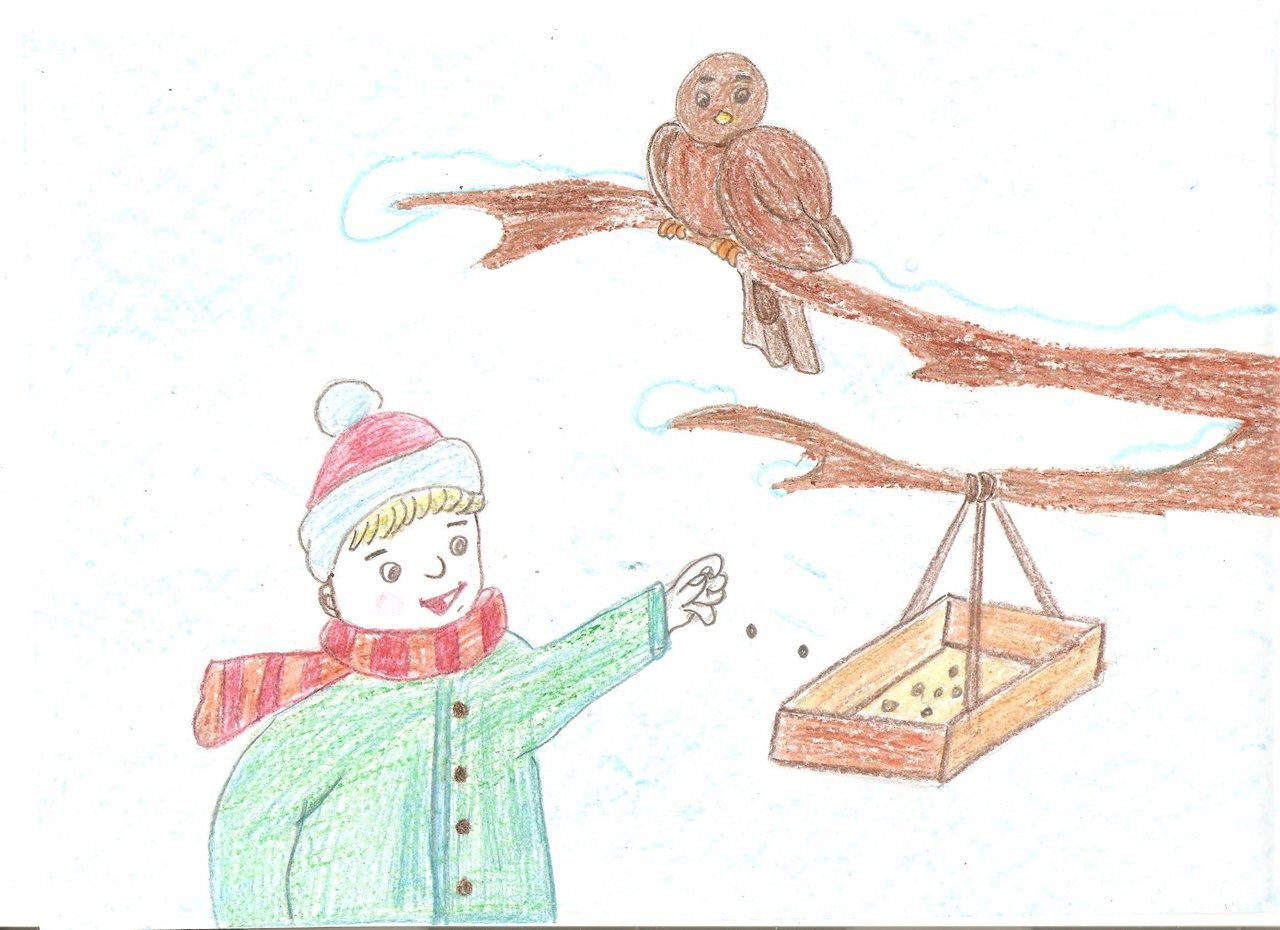 Дети кормят птиц зимой картинки для детей