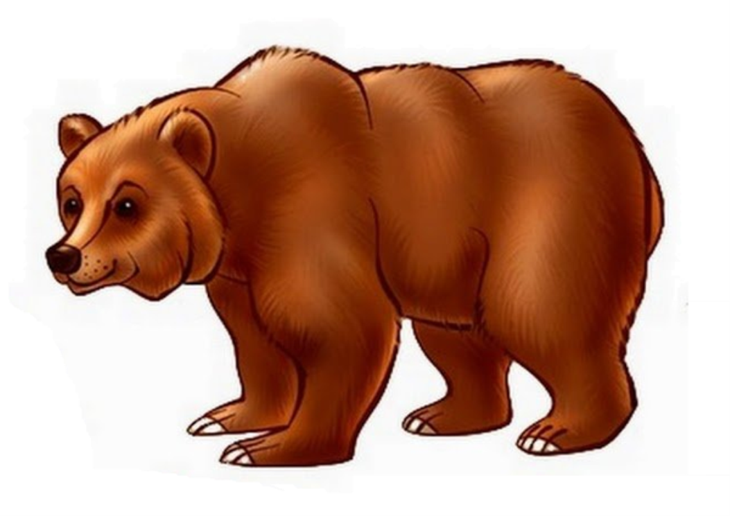 Медведь для детей. Изображение медведя для детей. Дикие жывотных медвед для дети. Медведь для дошкольников.
