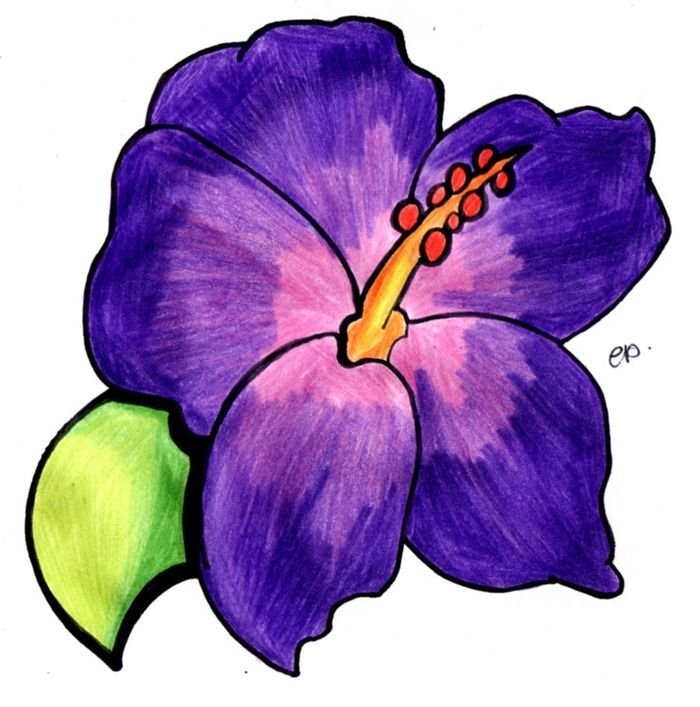 Рисунки фиолетового цвета