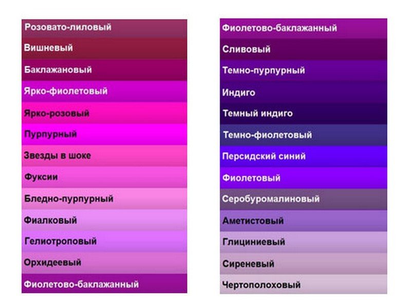 Цвет фиолетовый это какой цвет фото