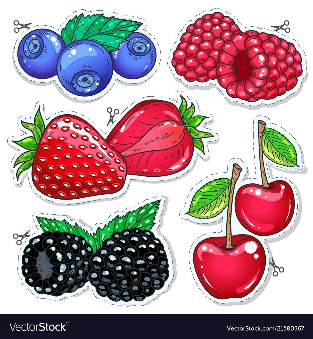 картинки ягоды распечатать цветные