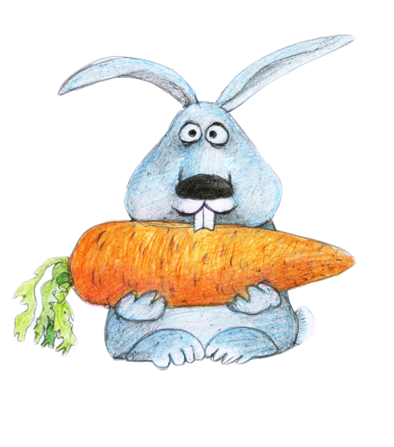 Про зайчишку и овощи. Заяц с морковкой. Зайчик с морковкой. Кролик с морковкой. Заяц грызет морковку.