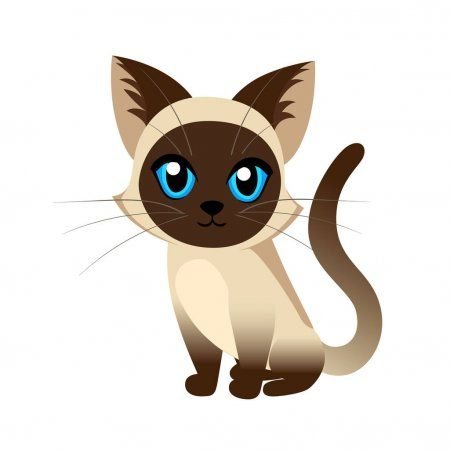 Сиамская кошка вектор