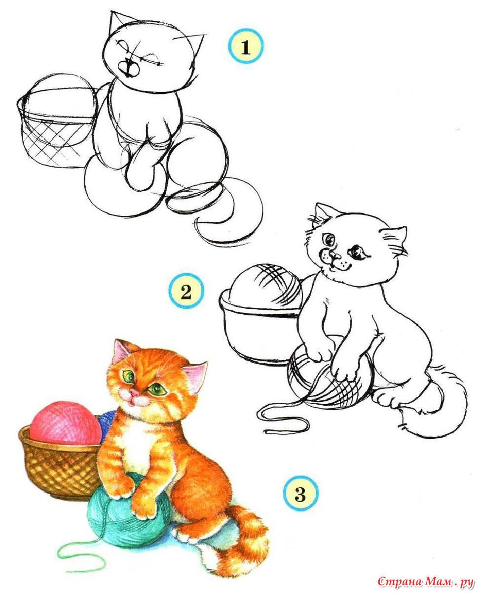 Схема рисования кота для дошкольников