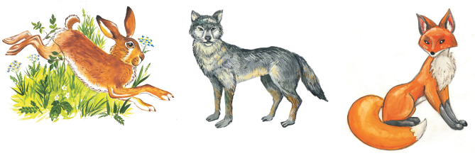 Заяц волк лиса это. Лиса лягушка заяц лиса волк. Волк лиса и заяц. Лисы и зайцы. Рисунок лисы и зайца.
