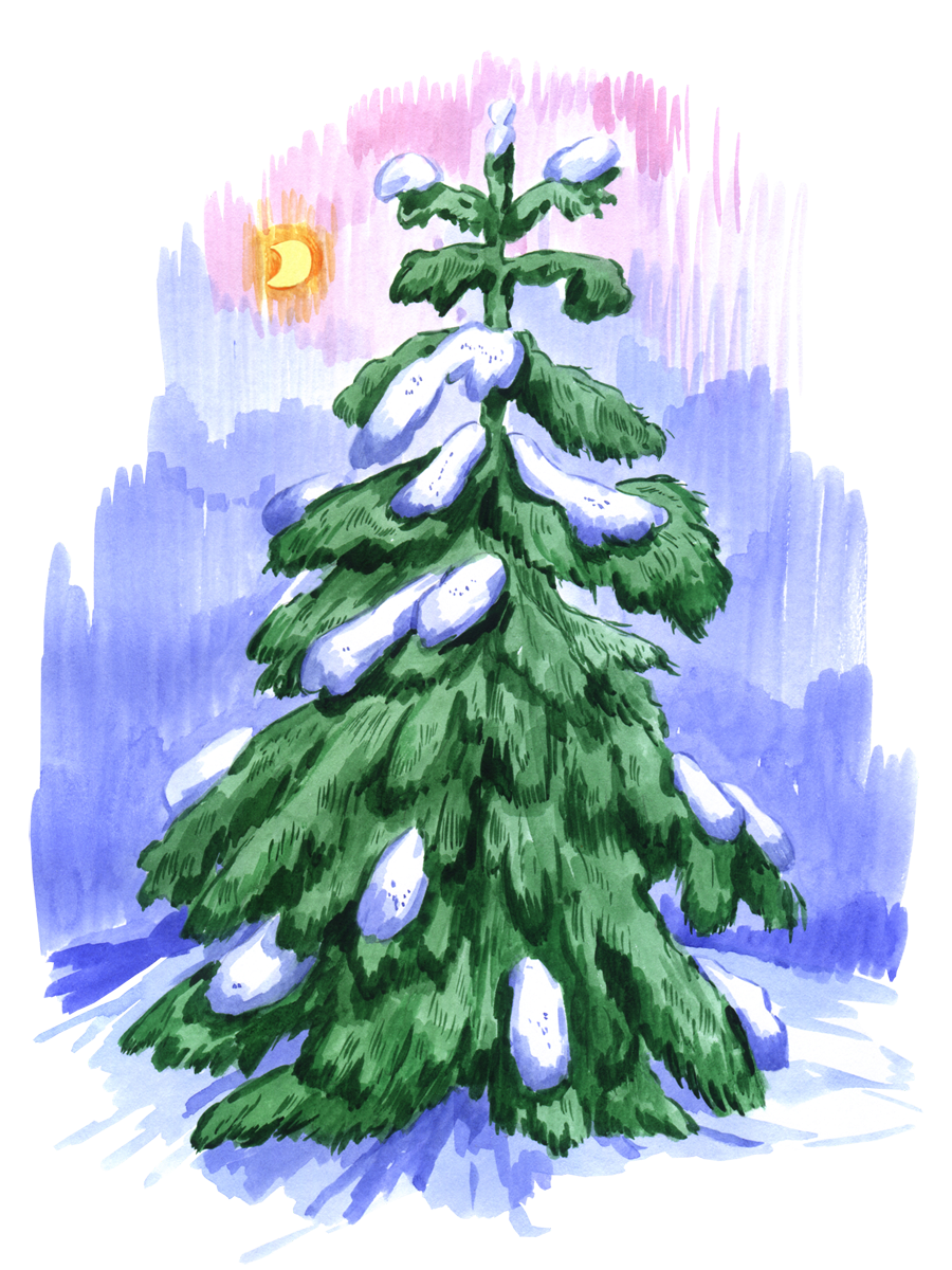Рисунок большой ели. Зимняя елка для детей. Рисование зимняя елка. Сказочная ель. Рисование елка зимой.