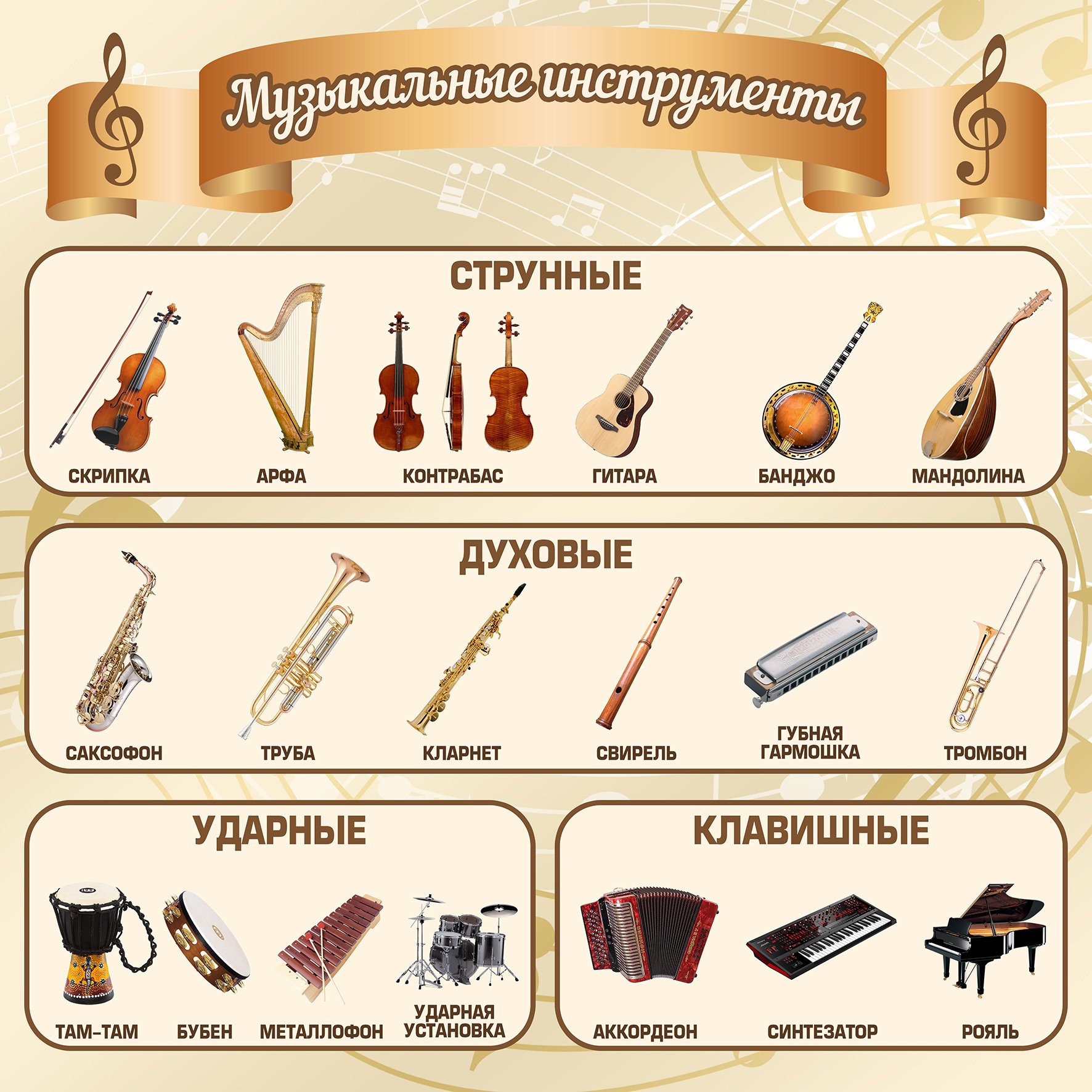Струнные, духовые, ударные, язычковые музыкальные инструменты