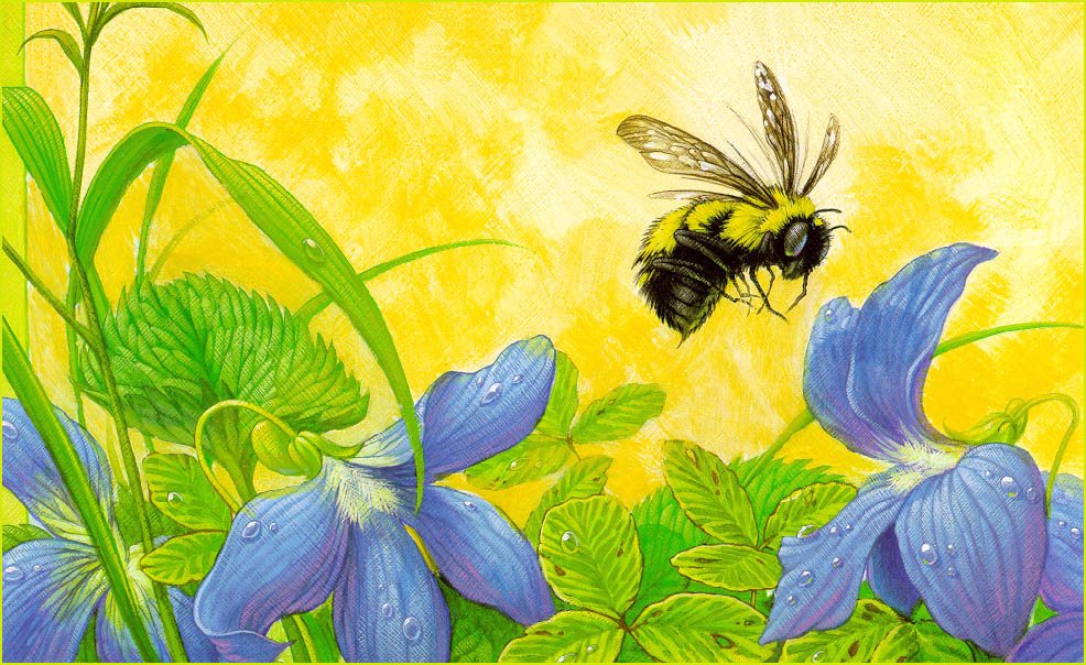 Нектар рисунок. Пчела картина. Пчёлка на цветке. Пчела на цветке. Пчёлка живопись.