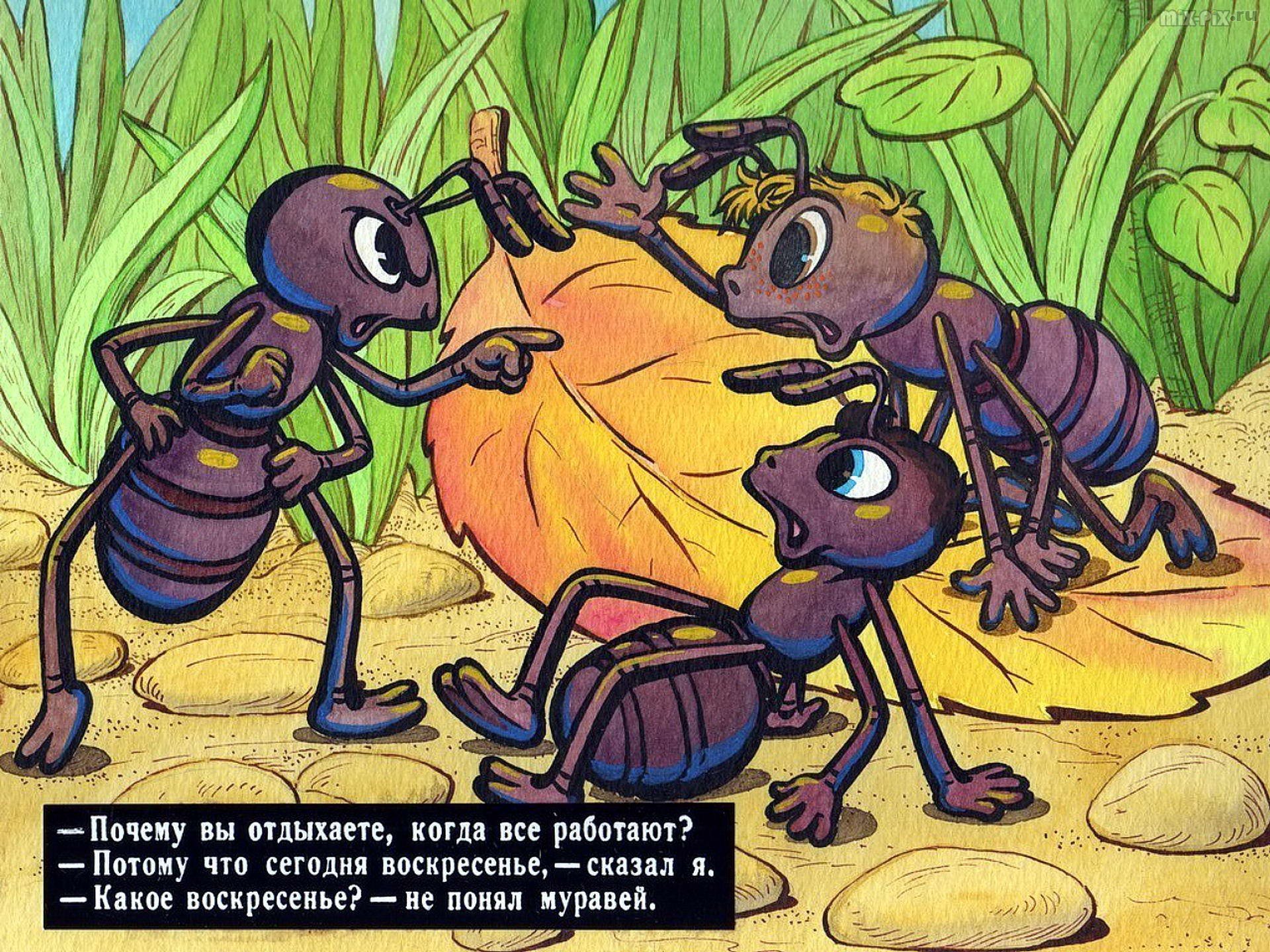 Детский рисунок муравья и черепахи