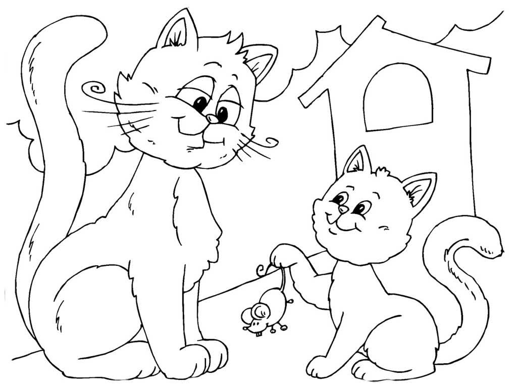 Котик раскраска для детей