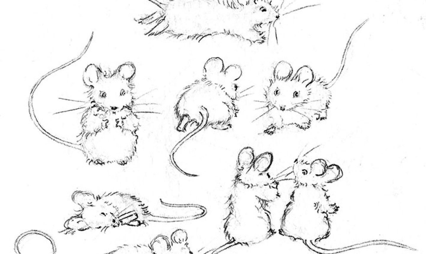 картинки рисунки мышки