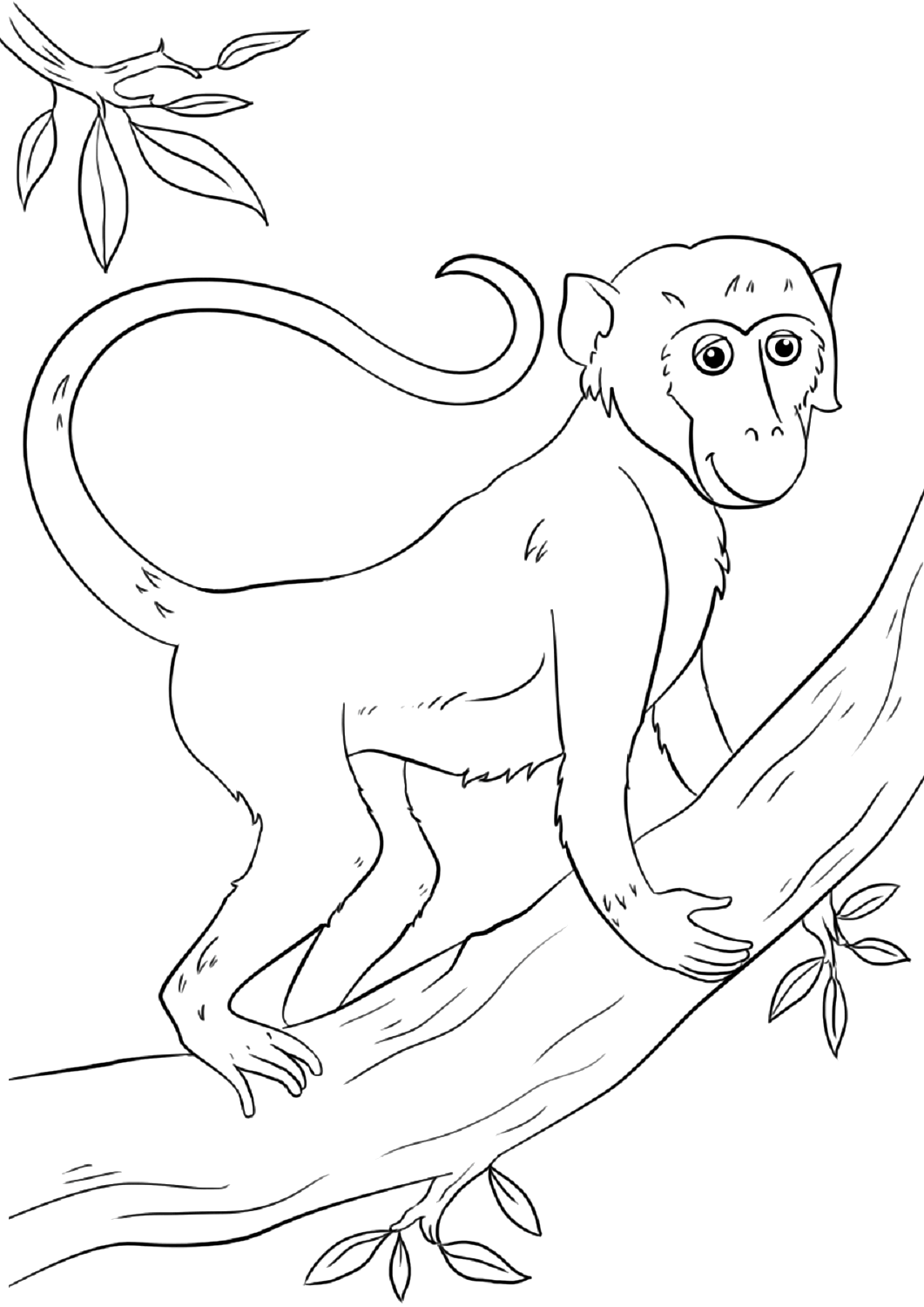 Раскраска обезьяна на дереве