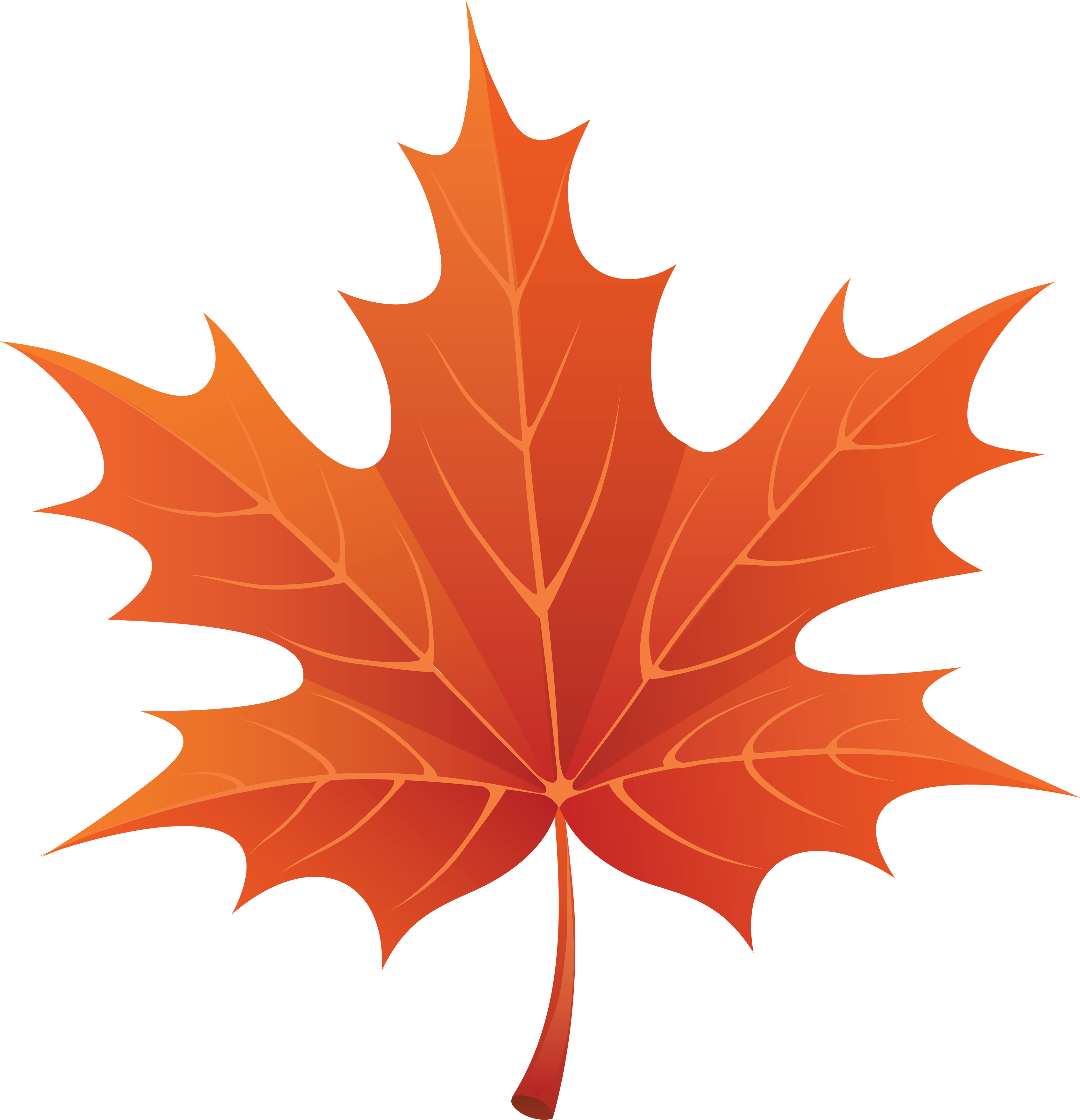 Осенний лист рисунок. Лист клена. Листики осенние кленовые. Maple кленовый лист. Осенний Калиновый лист.