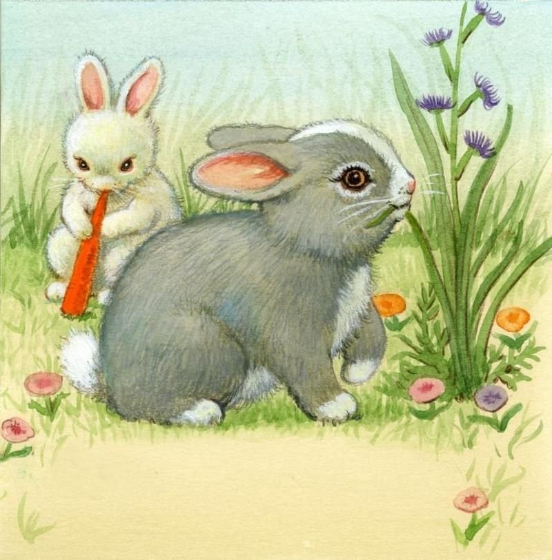Картинки зайцев для детей. Заяц рисунок. Зайчик рисунок. Заяц рисунок цветной. Зайки на лужайке.