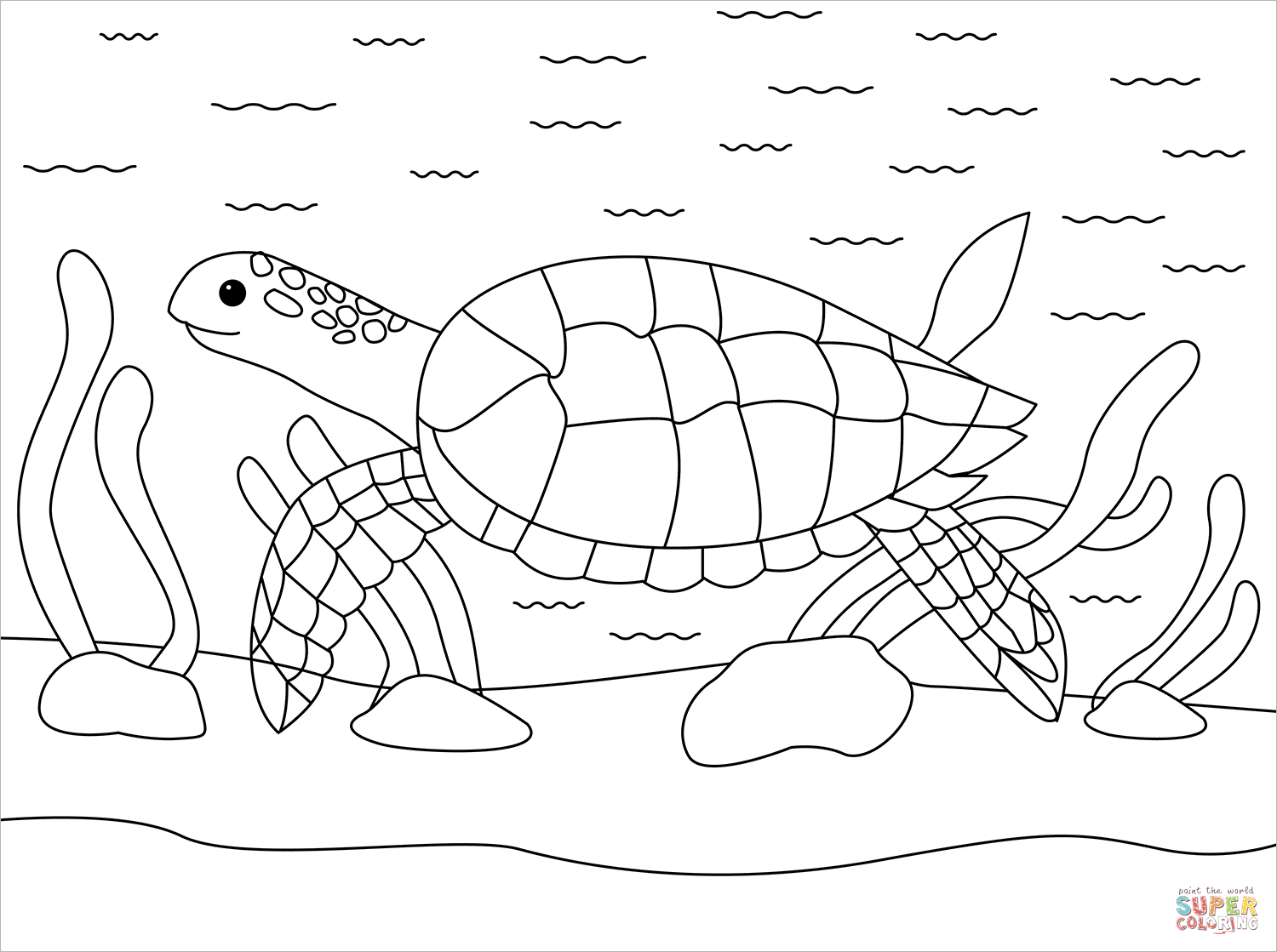 Раскраска водой для черепаха.