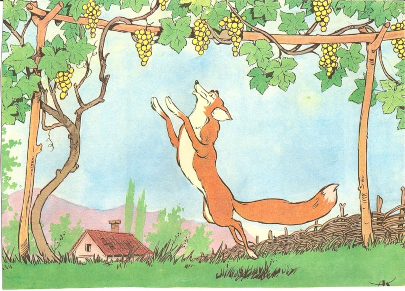 Крыло лисица и виноград