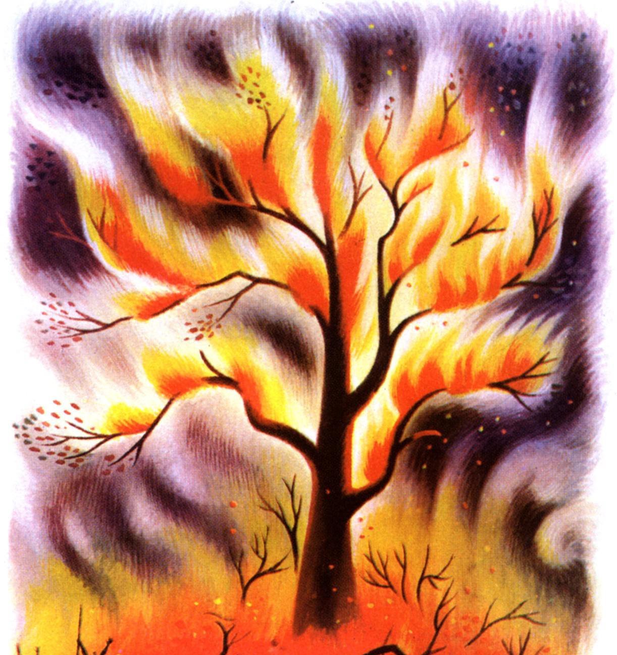 Дерево в огне