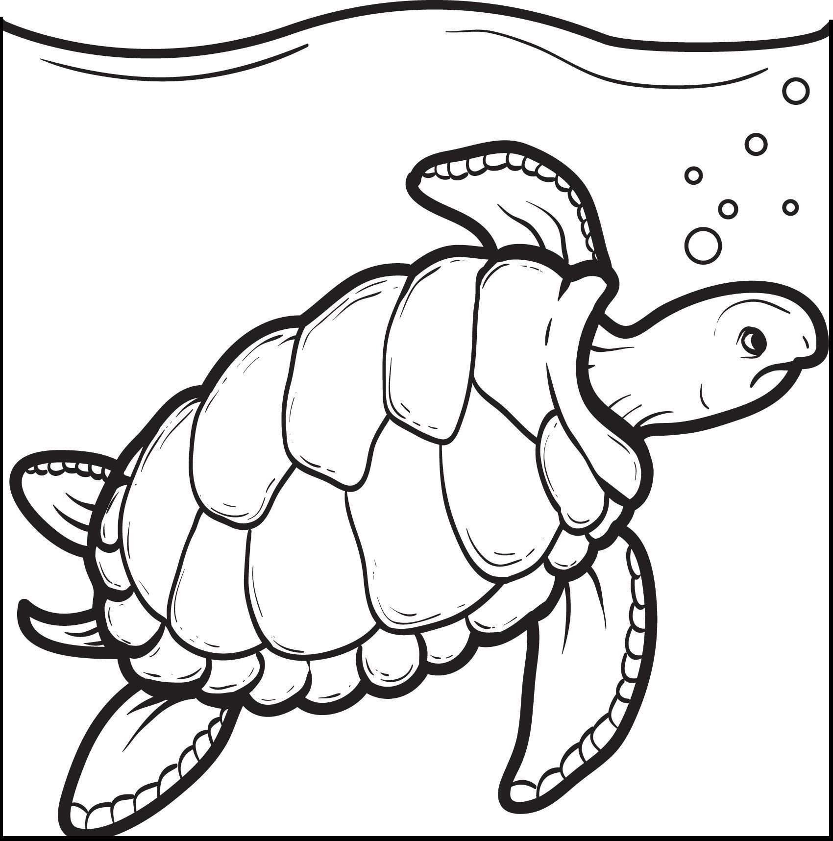 Морская черепаха раскраска для малышей