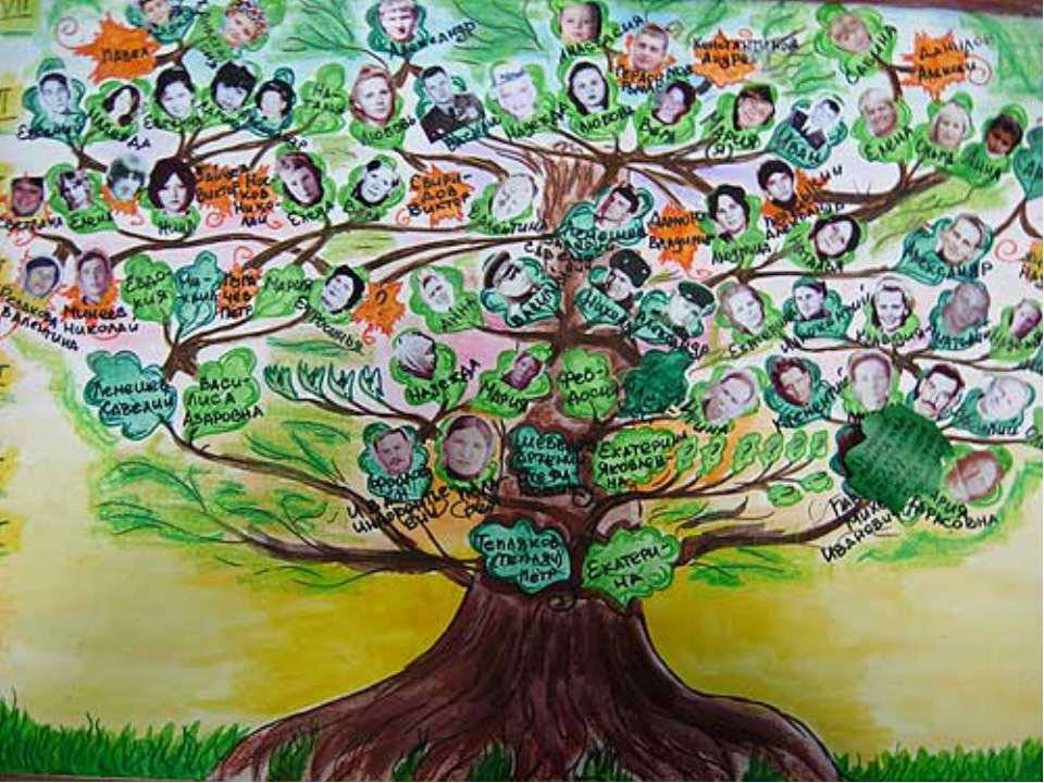 Генеалогическое древо проект 2 класс окружающий. Генеалогическое дерево. Генетическое дерево. Генеалогическое дерево рисунок. Красивое дерево для родословной.