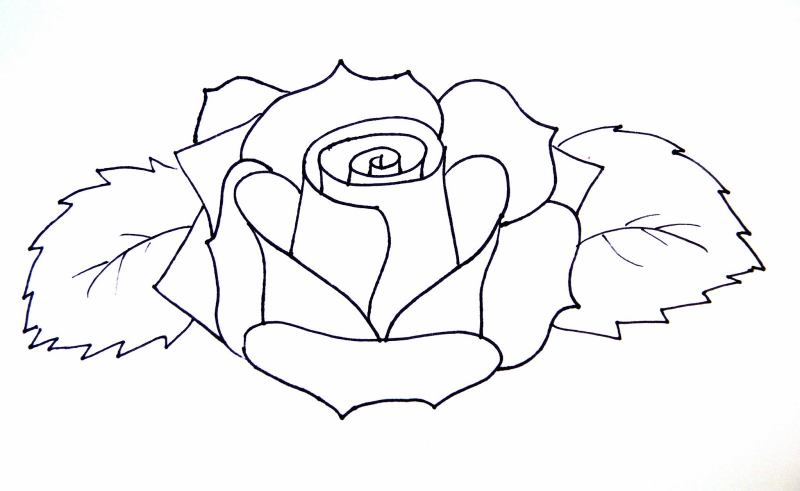Рисунок розы для срисовки для начинающих